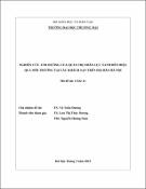 Hình ảnh thu nhỏ