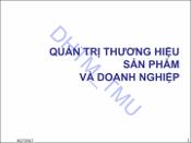 Hình ảnh thu nhỏ